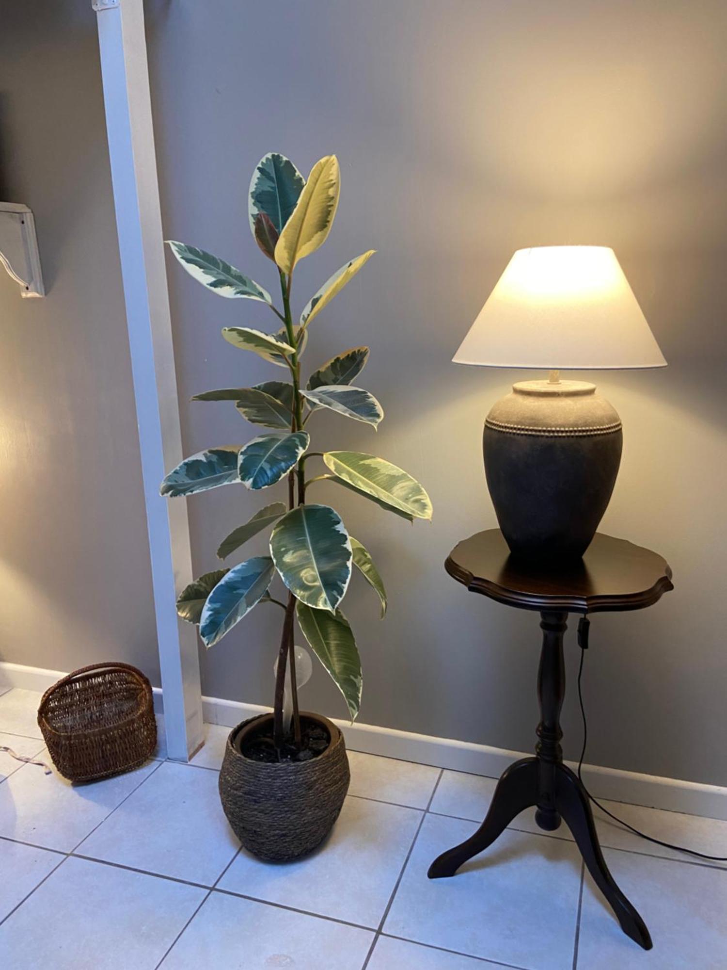 Appartement Maisonnette Individuelle Au Coeur De Vernon *